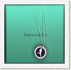 Tiffany Necklace * 10.25.2006  00:36 * 616 x 602 * (205KB)